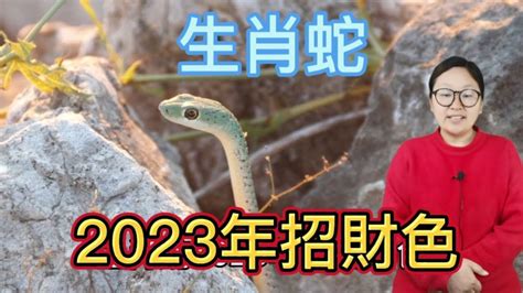 蛇的幸運顏色|【蛇幸運色】2024年屬蛇必看！幸運關鍵色揭曉，把握好運勢！